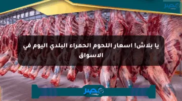 يا بلاش! أسعار اللحوم الحمراء البلدي اليوم في الأسواق